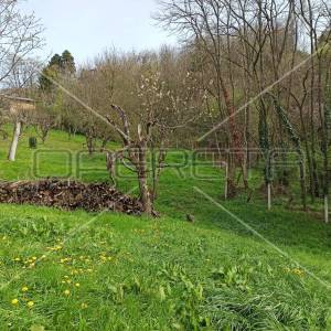 Prodaja, Kuća, Kustošija, Kustošijski venec, Samostojeća, 210m2