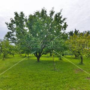 Prodaja, Kuća, Strmec, Savska, Samostojeća, 360m2