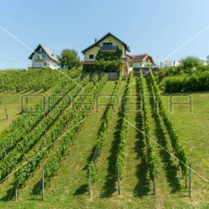 Prodaja, Kuća, Vrhovac, Grandić Breg , Samostojeća, 125m2