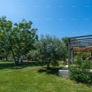 Prodaja - luksuzna vila s bazenom i dodatnim objektom, na prostranoj okućnici, Ližnjan!