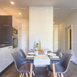 Prodaja moderne vile sa 5 zasebnih apartmana, Pula!