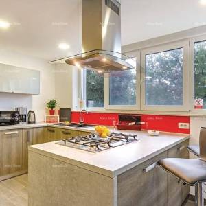 Prodaja prekrasne vile, Šišan!  Pula