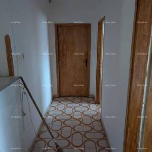 Prodaja samostojeće kuće s okućnicom i vrtom - Pazin