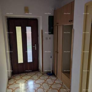 Prodaja samostojeće kuće s okućnicom i vrtom - Pazin