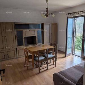 Prodaja samostojeće kuće s okućnicom i vrtom - Pazin