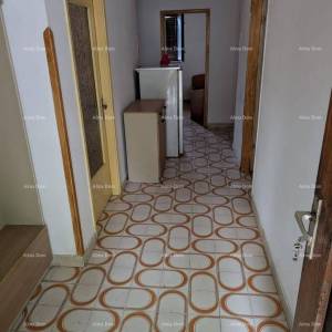 Prodaja samostojeće kuće s okućnicom i vrtom - Pazin