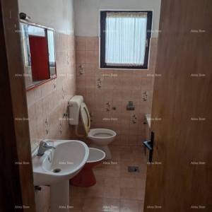 Prodaja samostojeće kuće s okućnicom i vrtom - Pazin