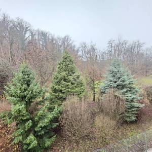 Prodaja, Stan, Zagreb, Sveti Duh - Bijenik , 92m2