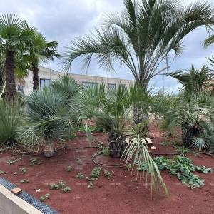 Prodaja stanova u novom poslovno - stambenom projektu, Poreč