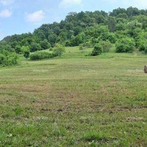 Prodaja- veliko imanje/stancija u središnjoj Istri, Pazin! Investicijska prilika!