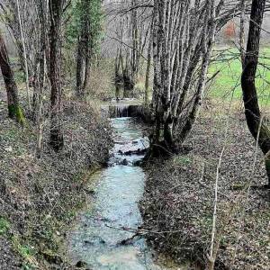 Prodaja- veliko imanje/stancija u središnjoj Istri, Pazin! Investicijska prilika!