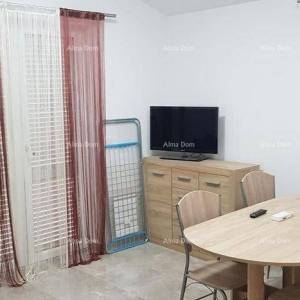 Prodaja velikog stana sa vrtom, Tar, Vabriga!