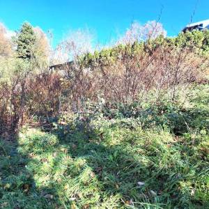 Prodaja, Zagreb, Granešina, građevinsko - stambeno zemljište 808m2.