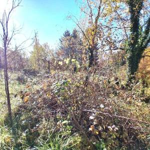 Prodaja, Zagreb, Granešina, građevinsko - stambeno zemljište 808m2.