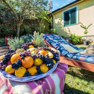 Prodajemo kuću, blizina uvale Cuve, s dodatnim objektima.