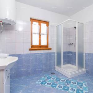 Prostrana kuća u Pazinu s velikim dvorištem i modernim dizajnom