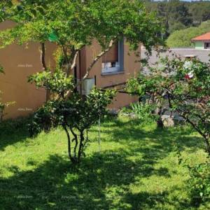 Pula. Kuća s poslovnim prostorom i garažom! Blizina Sindarele.