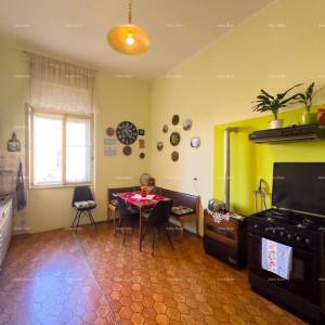 Pula! Stan u centru grada!