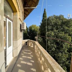 Pula! Stan u centru grada!