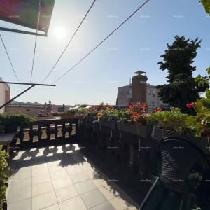 Pula! Stan u centru grada!