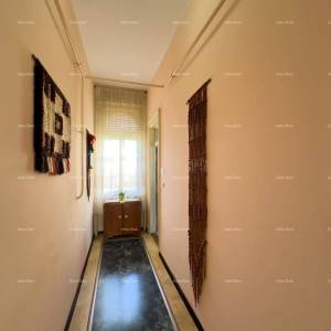 Pula! Stan u centru grada!