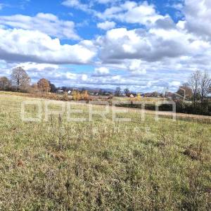 Put pobjede hrvatske garde, Centar, 25.000,00 m2, 89.000,00 EUR