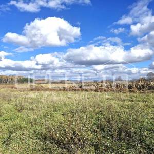 Put pobjede hrvatske garde, Centar, 25.000,00 m2, 89.000,00 EUR