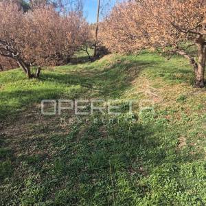 Put svetog Roka, Jesenice, 676,00 m2, 200.000,00 EUR