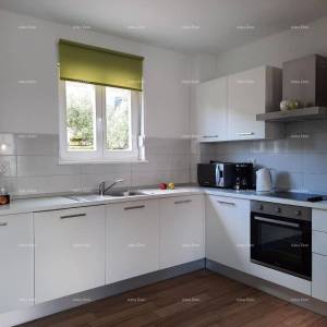 Raša – Vila s privatnim bazenom i vrtom