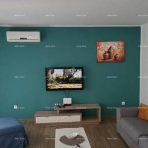 Raša – Vila s privatnim bazenom i vrtom