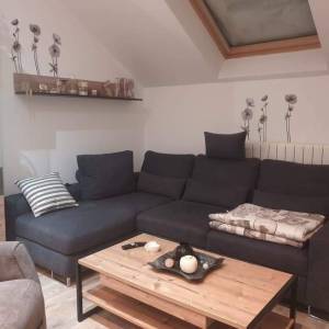 RAVNA GORA – Kuća s wellnessom, apartmanom i dvorištem za miran život