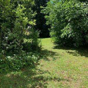 RAVNA GORA – kuća za adaptaciju s velikom okućnicom i potencijalom za dodatnu gradnju