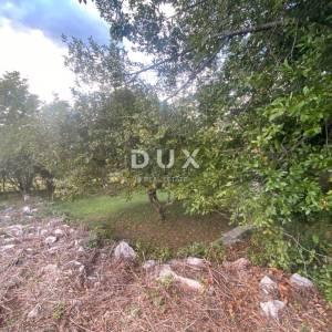 RIJEKA, KASTAV - samostojeća kuća i dvorišna zgrada + 761 m2 okućnice! PRILIKA!