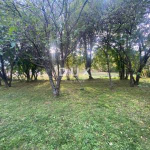 RIJEKA, KASTAV - samostojeća kuća i dvorišna zgrada + 761 m2 okućnice! PRILIKA!