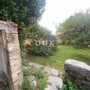 RIJEKA, KASTAV - samostojeća kuća i dvorišna zgrada + 761 m2 okućnice! PRILIKA!