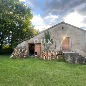 RIJEKA, KASTAV - samostojeća kuća i dvorišna zgrada + 761 m2 okućnice! PRILIKA!