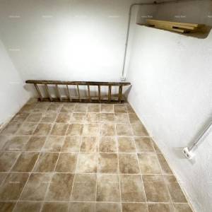 Rijetkost na tržištu! Istra  Barban