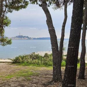 Rovinj: Nekretnina u blizini plaže, okružena borovom šumom