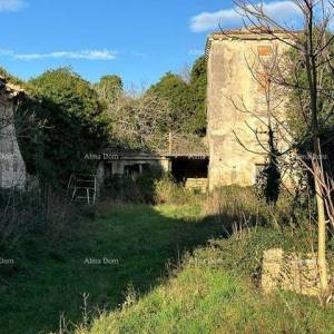 Ruševina u Šišanu