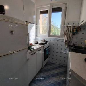 Samostojeća kuća, prvi red do mora! Novigrad.