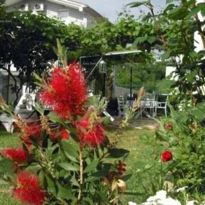 Samostojeća kuća s apartmanima! Štinjan.