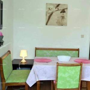 Samostojeća kuća s apartmanima! Štinjan.