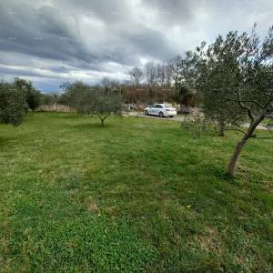 SAMOSTOJEĆA KUĆA S POMOĆNIM OBJEKTOM I PROSTRANOM OKUĆNICOM U ZAPADNOJ ISTRI