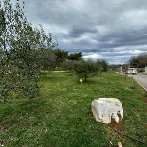 SAMOSTOJEĆA KUĆA S POMOĆNIM OBJEKTOM I PROSTRANOM OKUĆNICOM U ZAPADNOJ ISTRI