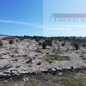 Šibenik Rogoznica 5636 m2 sa kućicom, pogled na more!