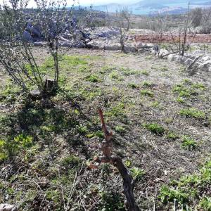 Šibenik Rogoznica 5636 m2 sa kućicom, pogled na more!