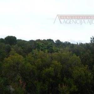 Šolta - Maslenica, poljoprivredno zemljište 26000 m2