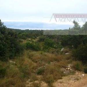 Šolta - Maslenica, poljoprivredno zemljište 26000 m2