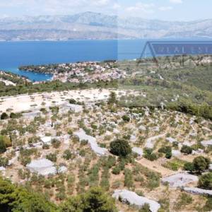 Splitska Stražišće kamene kuće 175 m2 na 20000 m2 TOP PONUDA
