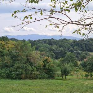 Stare ruševne kuće na velikom terenu od 6880 m2.